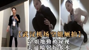 武汉机场偷窥极品空姐地勤.人美粉逼紧喷射出好多水