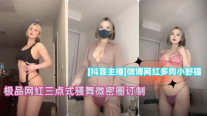 微博网红多肉小野猫极品网红三