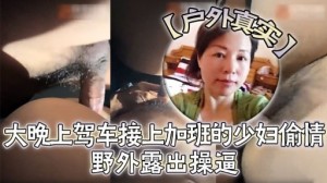 真实户外大晚上驾车接上加班的少妇偷情野外露出操逼