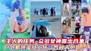 主人的任务众多女神露出合集